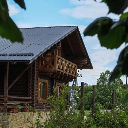 Сottage "Ksenija" Котедж "Ксенія" Skole Dış mekan fotoğraf